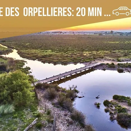 Centre Historique - Free Parking - Self Checkin - Wifi - La Cabane - Sleepntripbeziers Exterior photo