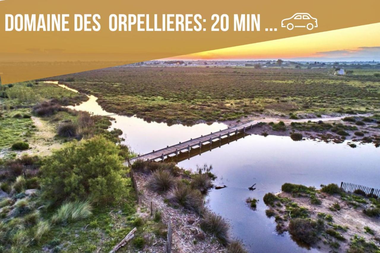 Centre Historique - Free Parking - Self Checkin - Wifi - La - Sleepntripbeziers Apartment